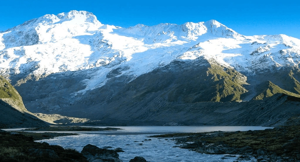 적도 위의 눈, 루웬조리 산 국립공원 – 아프리카의 숨겨진 빙하 왕국 1 Rwenzori Mountains National Park flora 이미지4