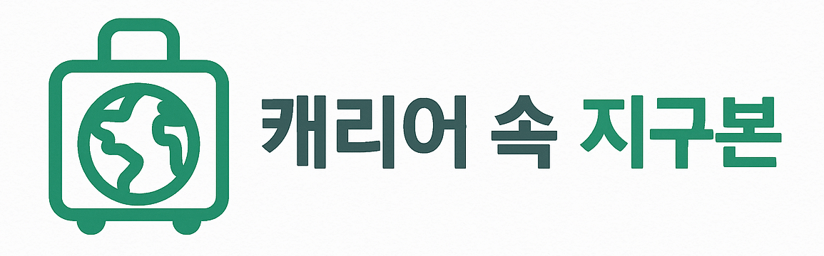 캐리어 속 지구본