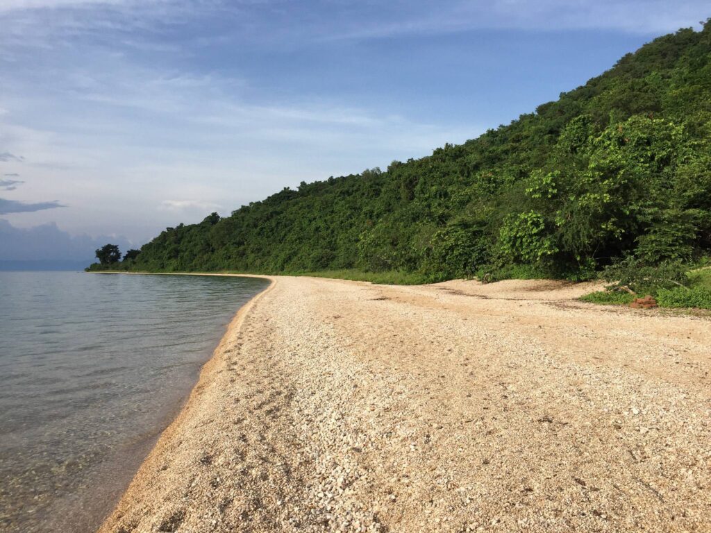 탄자니아 은곰베 국립공원(Gombe National Park) – 인간과 침팬지의 경계를 허문 진화의 숲 2 탄자니아 은곰베 국립공원 세계문화유산 이미지 2