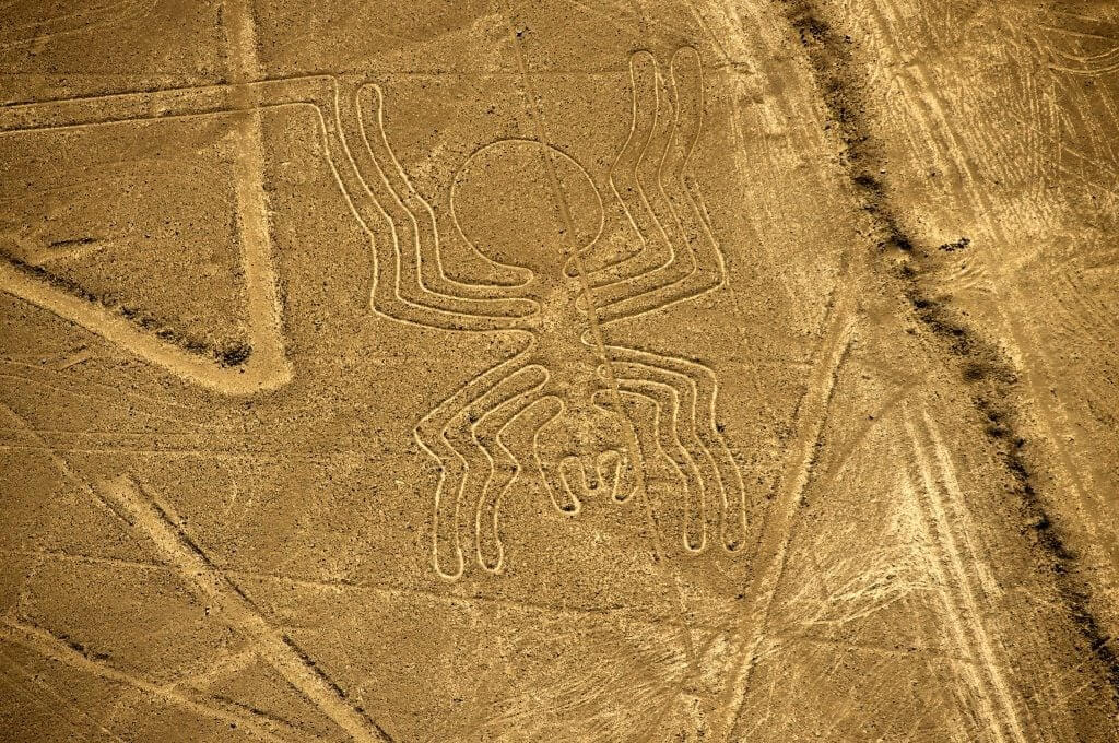 페루 나스카 라인 (Nazca Lines) - 사막에 각인된 1,000개의 기하학적 암호와 잃어버린 수자원 공학 1 고도로 추상화된 기하학적 형태를 띠고 있는 '거미(Spider)' 지상화 이미지
출처: https://news.artnet.com/