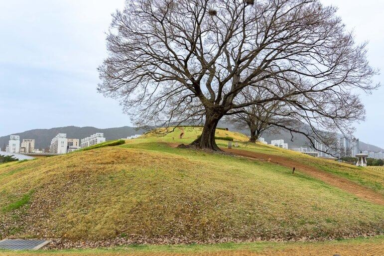대한민국 가야고분군 (Gaya Tumuli) : 철의 제국의 위대한 유산, 500년 연맹 국가가 지켜낸 독자적 생존 방식 1 김해 대성동 고분군의 전경
출처: https://www.timetravelturtle.com/